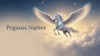 pegasus names
